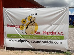 El Perro Abandonado in San Luis Potosi