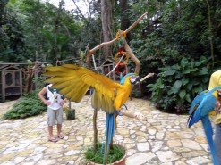 Me with birds at Macaw Mountain Bird Park In Copan Ruinas Honduras