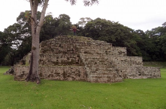 Standing On Top Of Copan Ruinas Pyramid