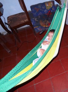 A Baby In A Hammock