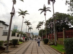 Green City Green City