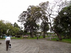 Green City Green City