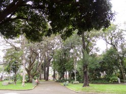 Green City Green City