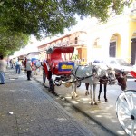 Horse Carriages In Center