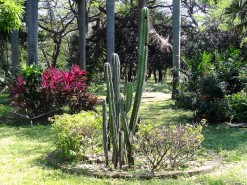 Bolivar Botanical Garden