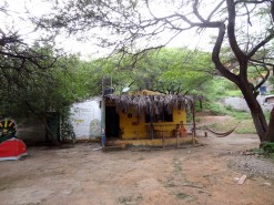 Camping Grounds