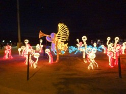 Christmas Decorations In Santa Marta