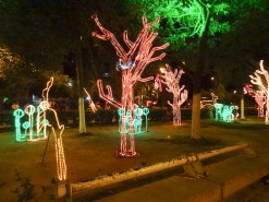 Christmas Decorations In Santa Marta