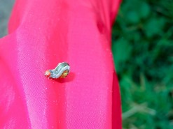 My New Friend My New Friend