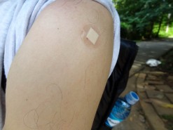 Yellow Fever Vaccine Yellow Fever Vaccine