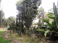Medellin Botanical Garden Medellin Botanical Garden