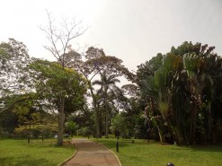 Medellin Botanical Garden Medellin Botanical Garden
