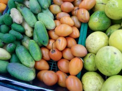 Tree Tomatoes Tree Tomatoes