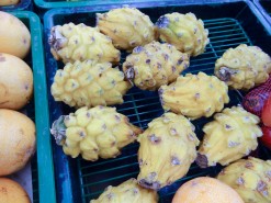 Yellow Pitaya Yellow Pitaya