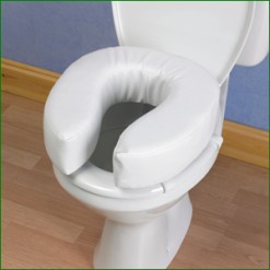 Mummified Toilet Seat Mummified Toilet Seat