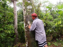 Budy Hugging A Tree To Feel Its Energy