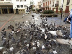Cuenca