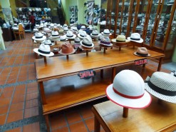 Panama Hats