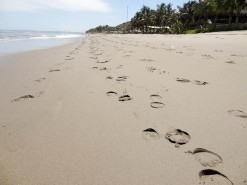The Beach
