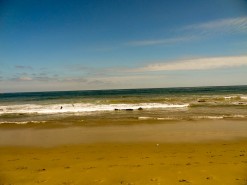 The Beach