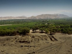 The Site And The Landscape