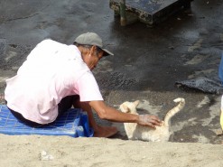 A Fisherman And His Cat