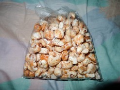 Cancha - My New Addiction Cancha - My New Addiction