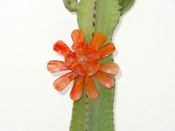 Desert Cactus And Flower