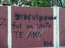 Excuse Me, I Was An Idiot, I Love You Excuse Me, I Was An Idiot, I Love You