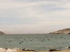 Fishing Boats