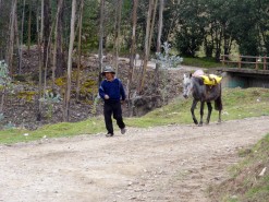 More Reliable Transport