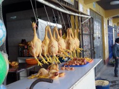 Where Chicken Comes From
