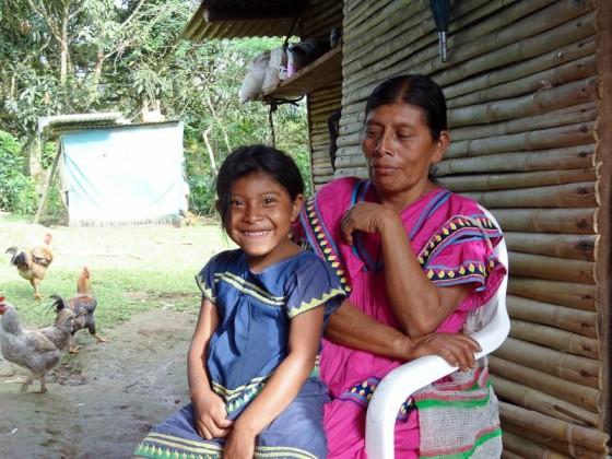 Chichica, Panama
