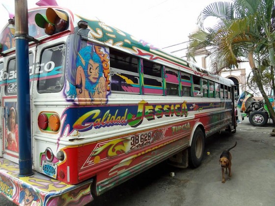 Panamanian Chicken Bus