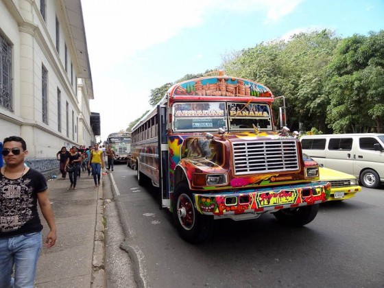 Panamanian Chicken Bus