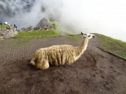 First Glimpses Of Machu Pichu