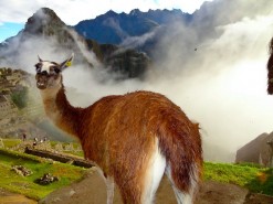First Glimpses Of Machu Pichu