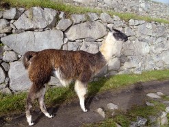 First Glimpses Of Machu Pichu