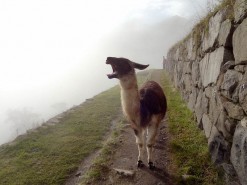 First Glimpses Of Machu Pichu