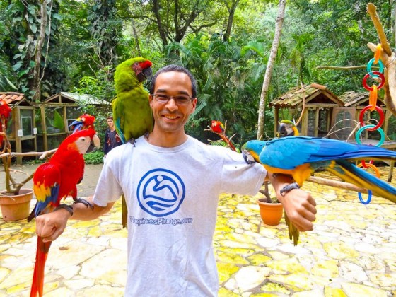 Maccaw Mountain Bird Park - Honduras