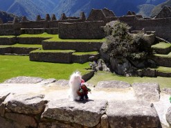 Inside Machu Pichu