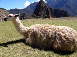 Second Glimpses Of Machu Pichu