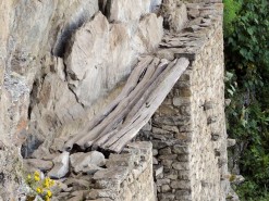 The Inca Bridge