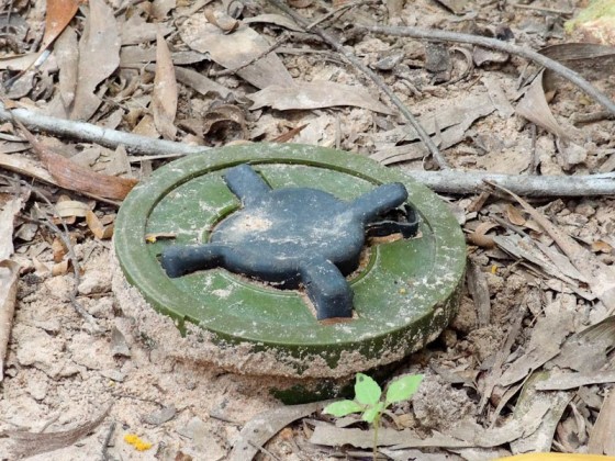 A Mine On The Ground