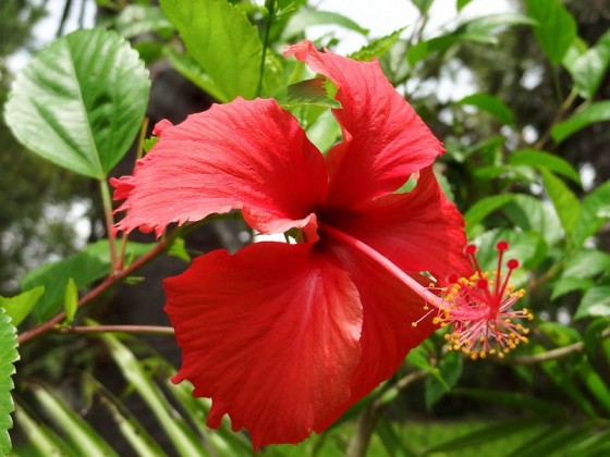 Beautiful Nature
