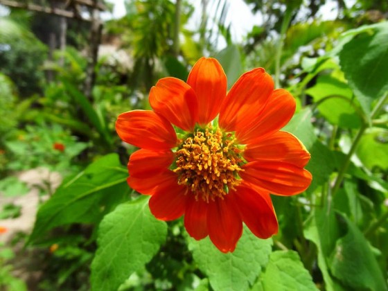 Beautiful Nature
