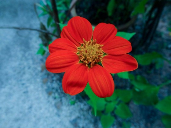 Beautiful Nature