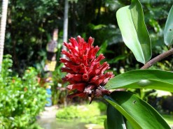 Botanical Garden
