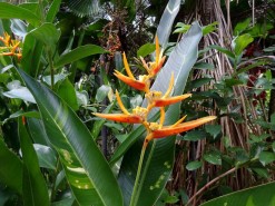 Botanical Garden