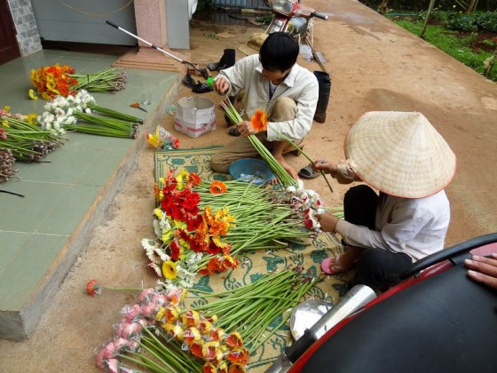 Flower Farm
